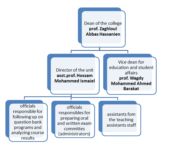 Organizational structure of the student Measurement and Evaluation unit