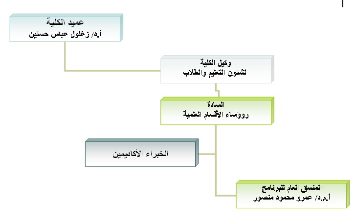 هيكل لجنة إدارة البرنامج الخاص
